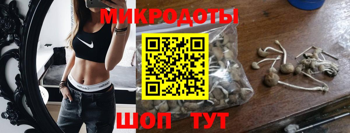 Галлюциногенные грибы GOLDEN TEACHER  Вход с VPN  дарнет шоп  Назрань 